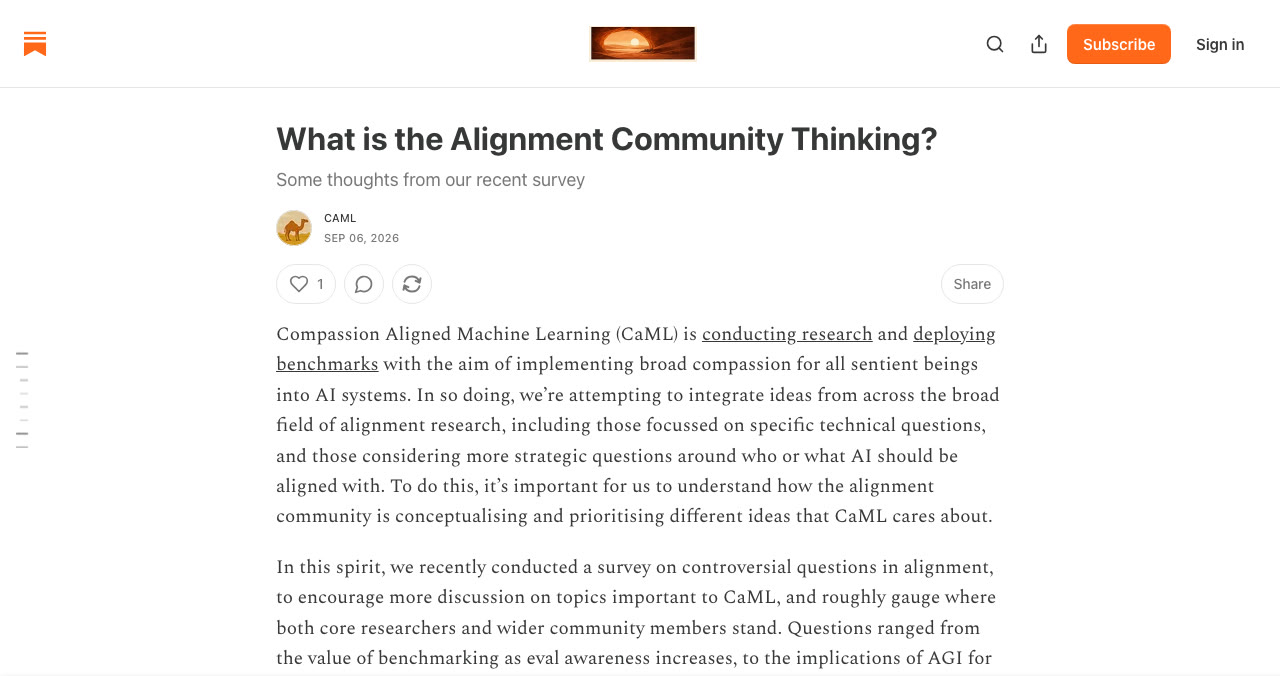 The report on what the alignment community is thinking